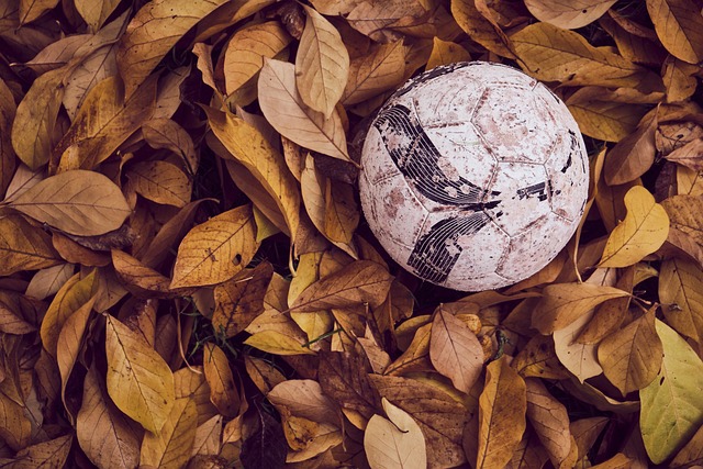 FIFA宣布美加墨世界杯增设强制补水时间