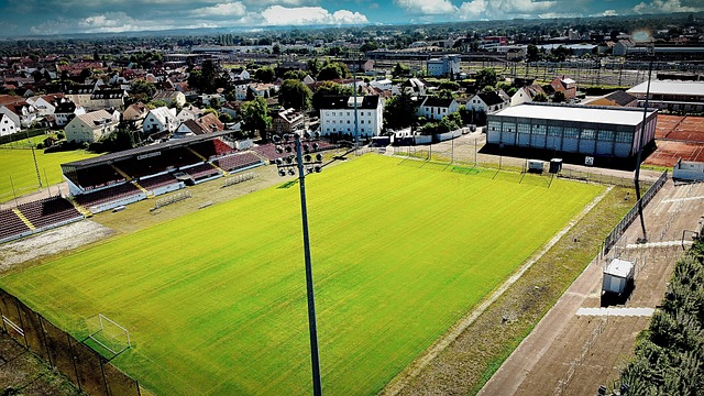 准射门都是 准射门都是