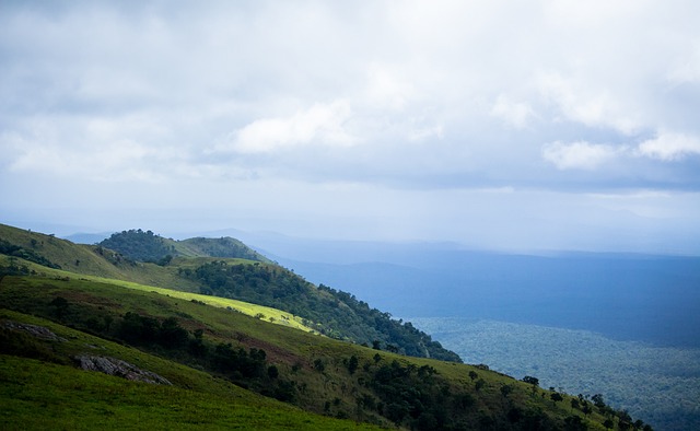 样的战略智 样的战略智