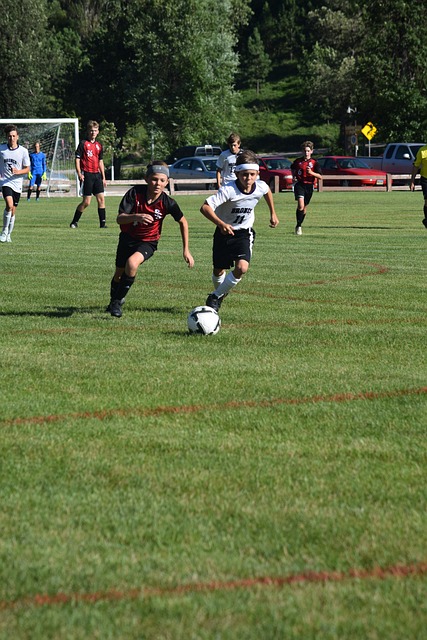 樊振東則曾 樊振東則曾